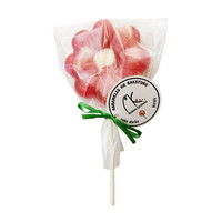 Lollipop flower «Cherry»
